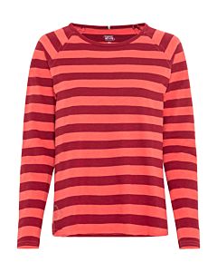 Shirt Stripes