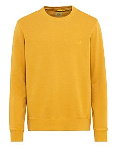 Sweatshirt aus reiner Baumwolle