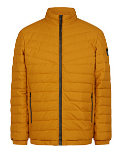 Structured Jacket