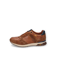 LOW CUT Split/Nappa COGNAC/BLAU