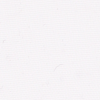 WHITE WHITE