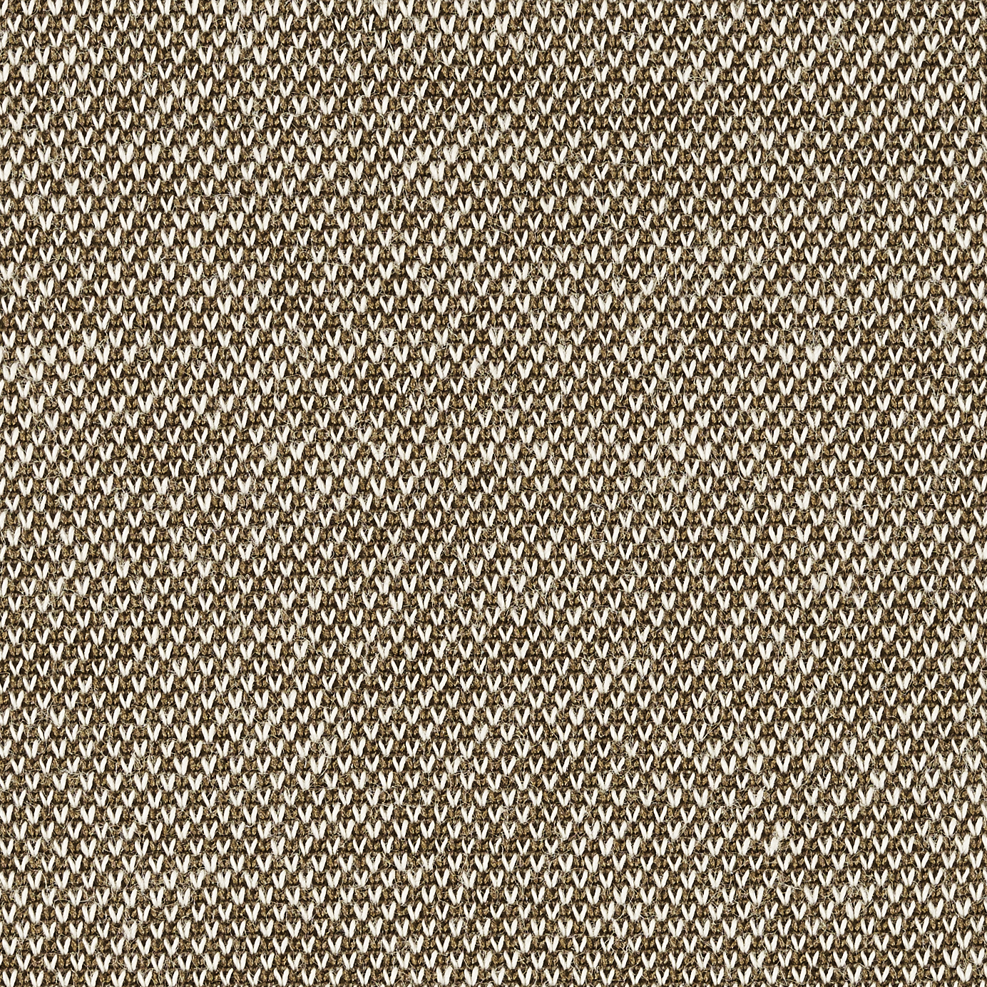 Braun