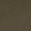 Olive Brown