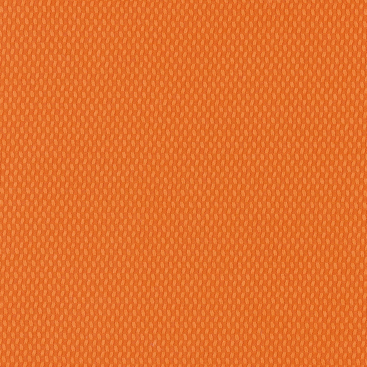 BURNED ORANGE