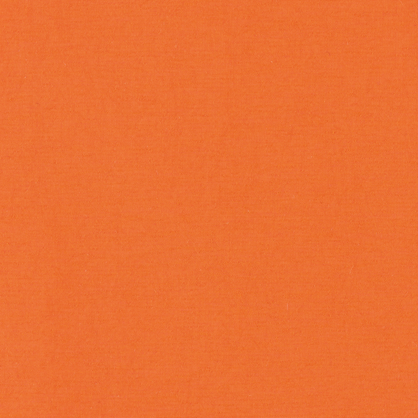 BURNED ORANGE