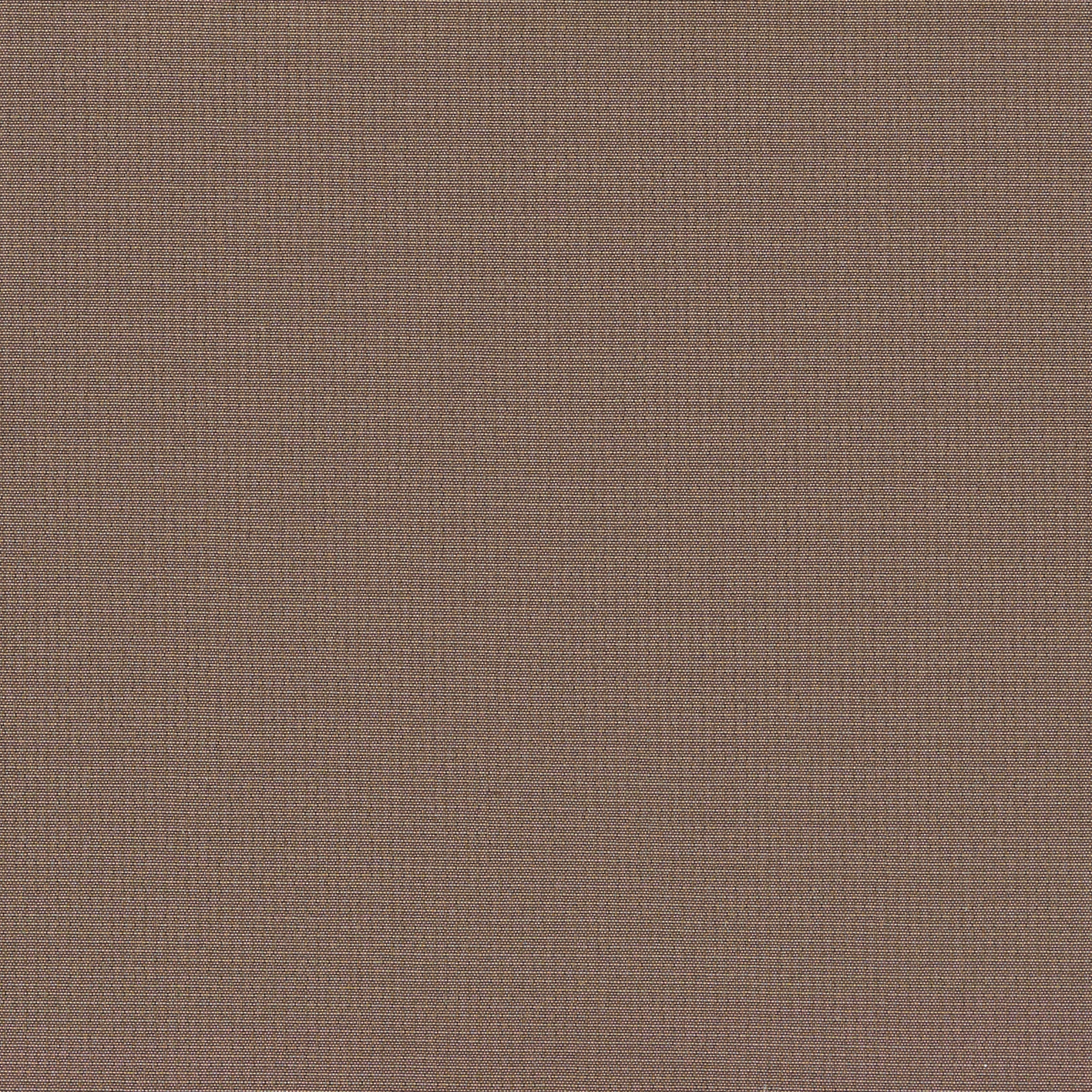 Cashew Brown