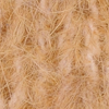Beige Beige