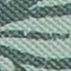 Aqua Green Aqua Green