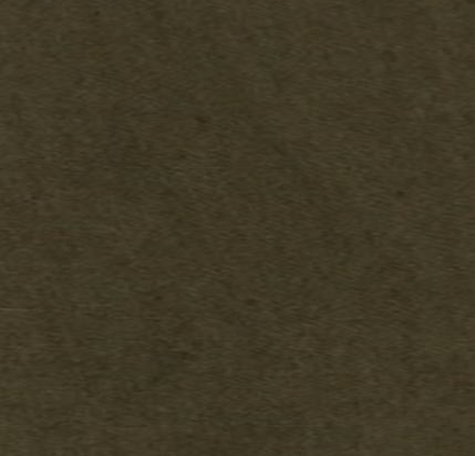 Olive Brown Olive Brown